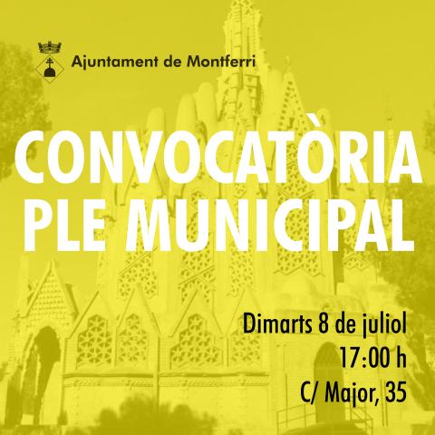 Convocatòria ple