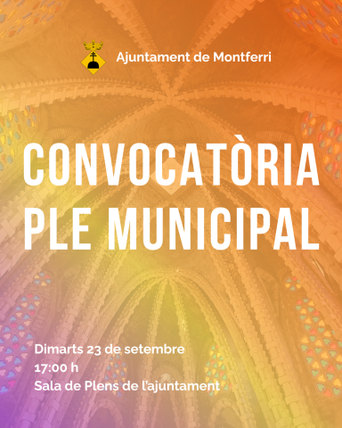 Convocatòria ple