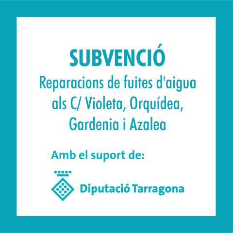 Subvenció reparacions fuites d'aigua