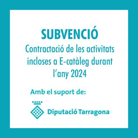 Subvenció DIPTA