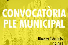 Convocatòria ple