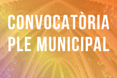 Convocatòria ple