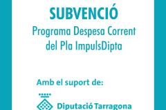 Subvenció despesa corrent