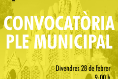 Ple municipal