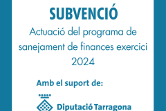 Subvenció