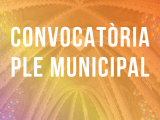 Convocatòria ple