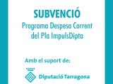 Subvenció despesa corrent